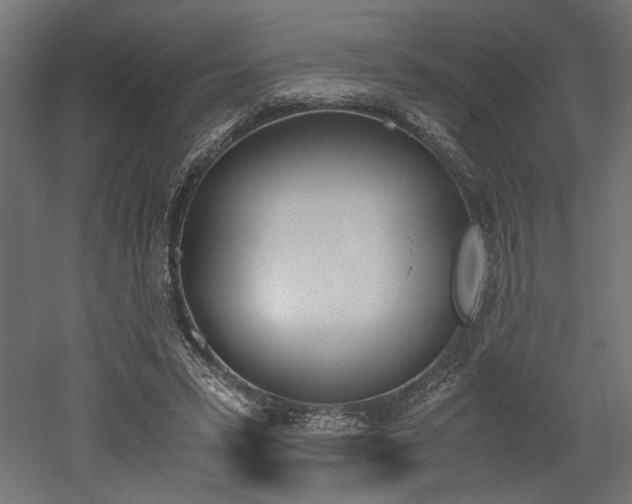 X0000052610399200507011233