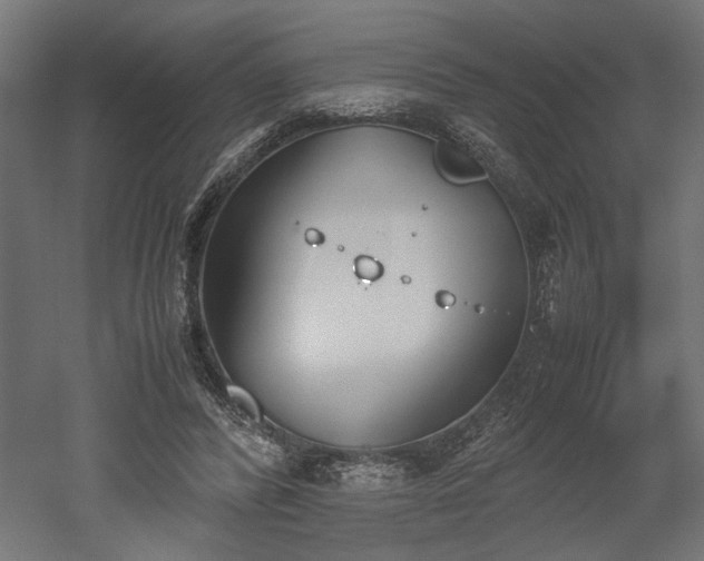 X0000052610400200507011233