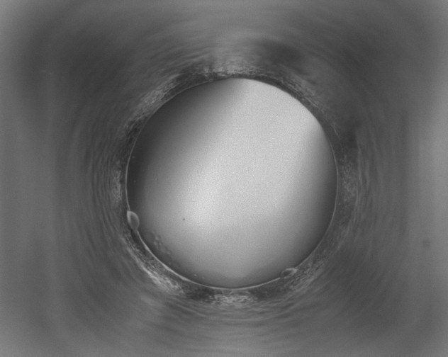 X0000052610401200507011233