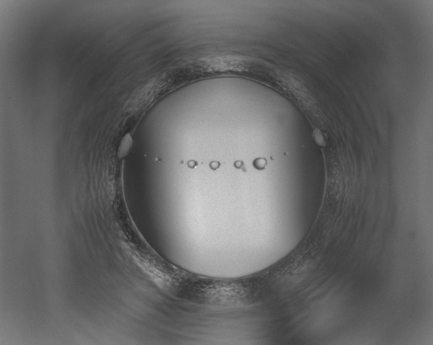 X0000052610402200507011233