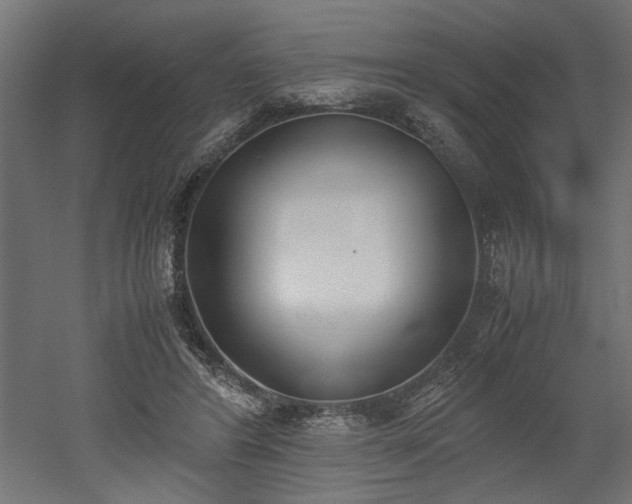 X0000052610404200507011233