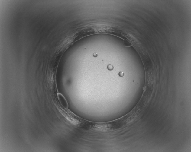 X0000052610405200507011233