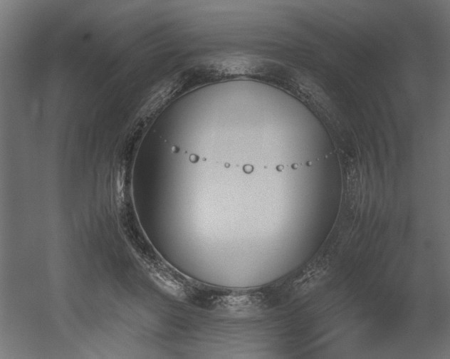 X0000052610406200507011233