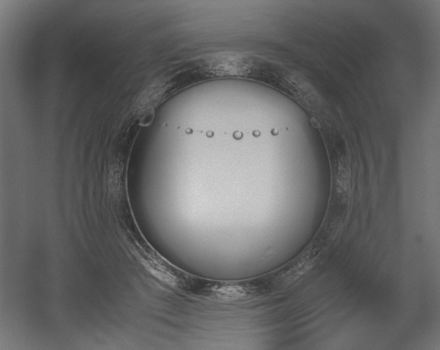 X0000052610409200507011233