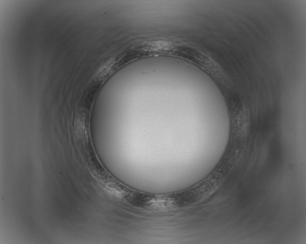 X0000052610415200507011232