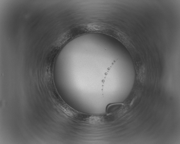 X0000052610418200507011232