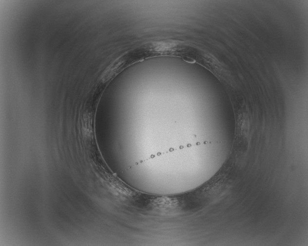 X0000052610421200507011232