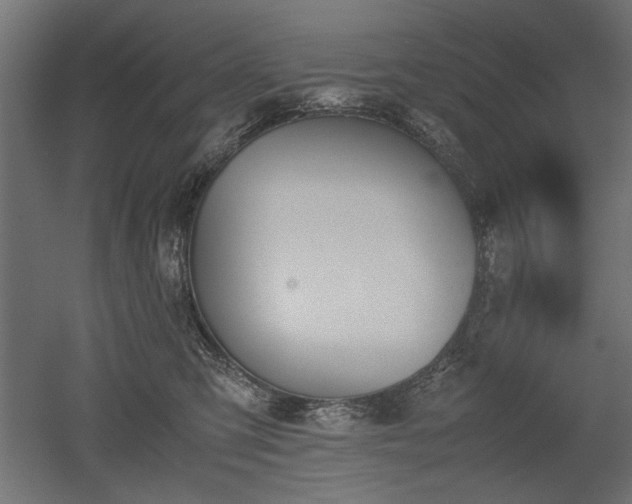 X0000052610423200507011232