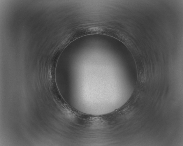 X0000052610424200507011232