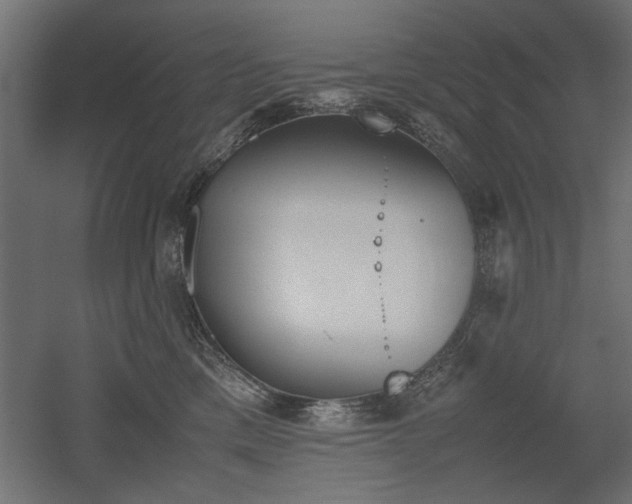 X0000052610425200507011232