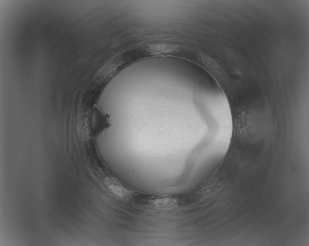 X0000052610426200507011232