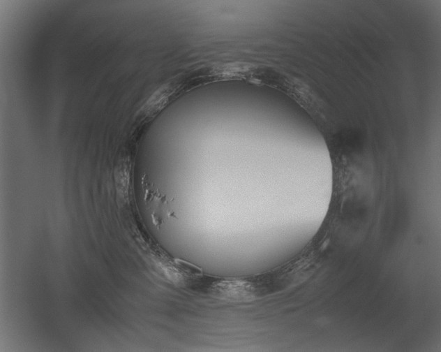 X0000052610427200507011232