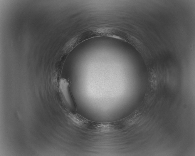 X0000052610428200507011232