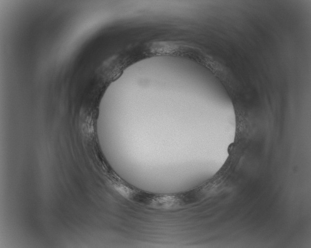 X0000052610431200507011232