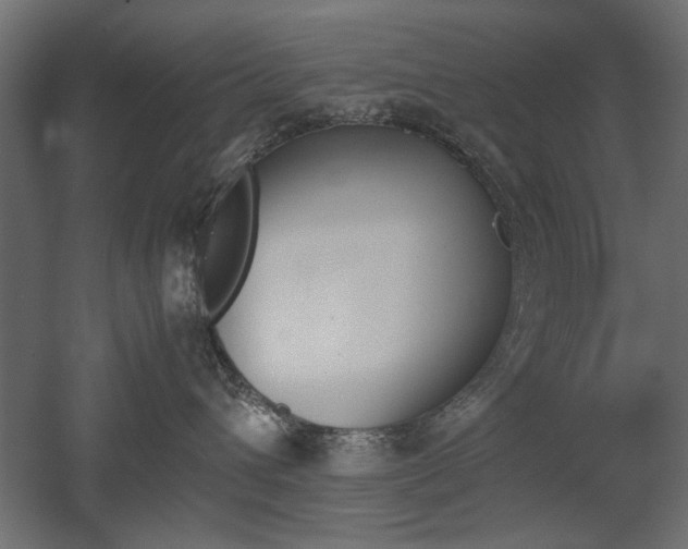 X0000052610432200507011232