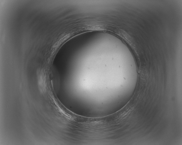 X0000052610433200507011231