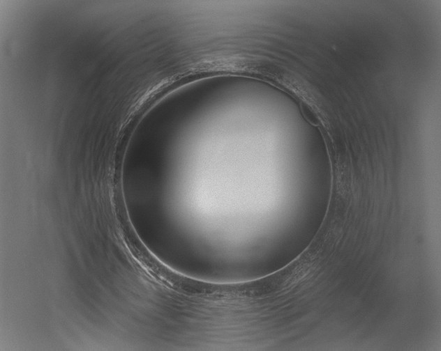 X0000052610434200507011231