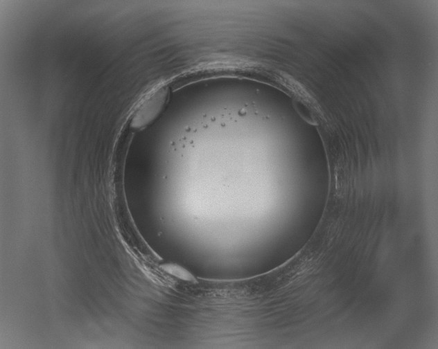 X0000052610436200507011231