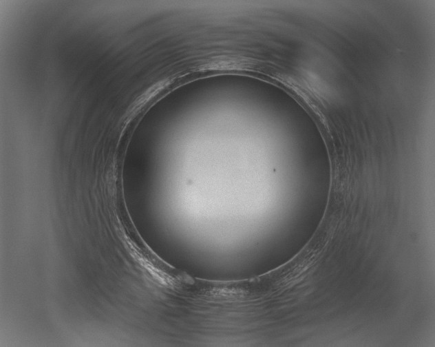 X0000052610437200507011231