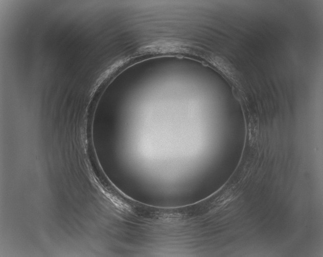 X0000052610438200507011231