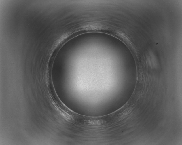 X0000052610439200507011231