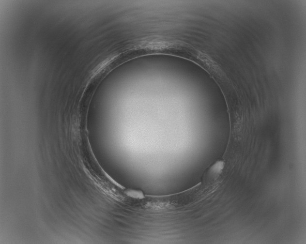 X0000052610440200507011231