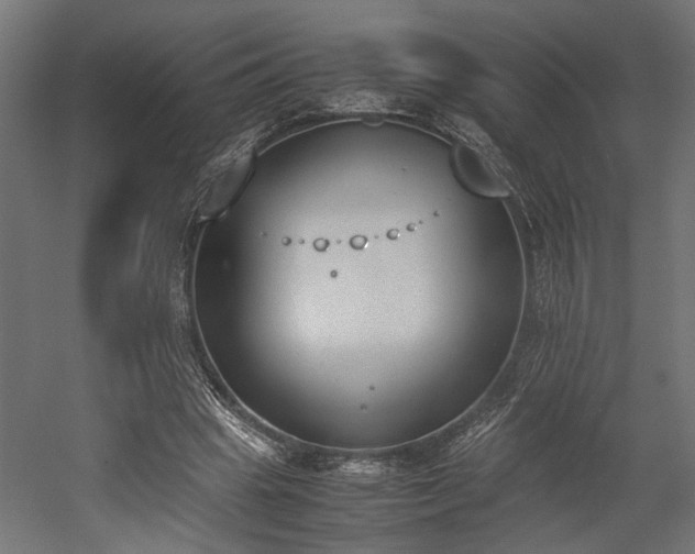 X0000052610441200507011231