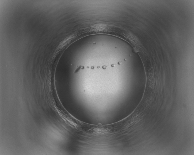 X0000052610442200507011231