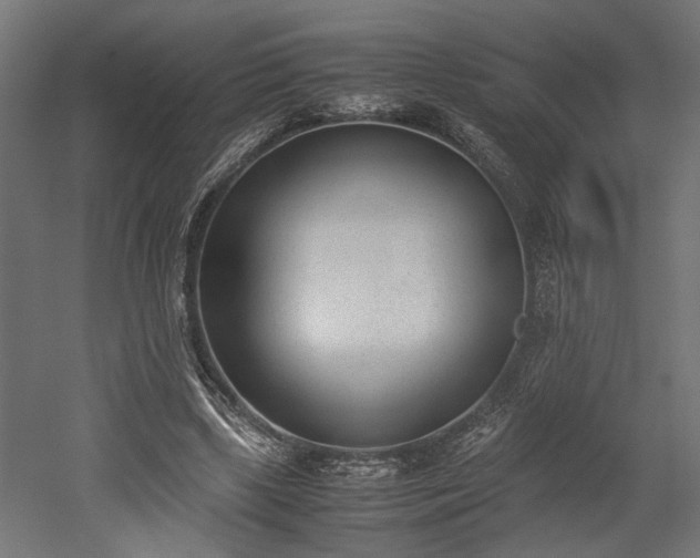 X0000052610443200507011231