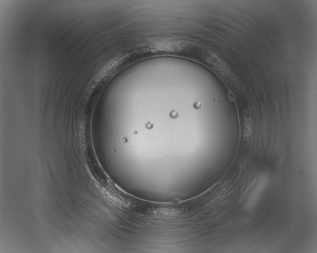 X0000052610444200507011231