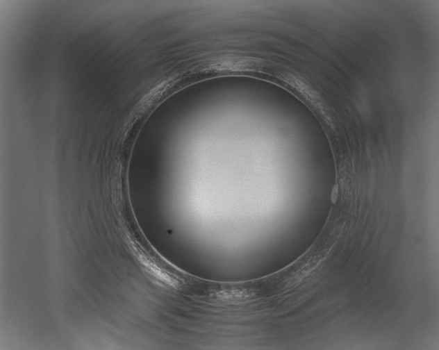 X0000052610445200507011231