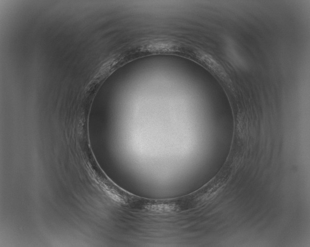 X0000052610449200507011232