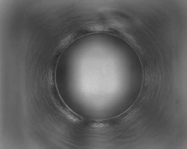 X0000052610453200507011232