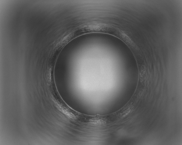 X0000052610454200507011232