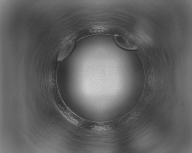 X0000052610455200507011232