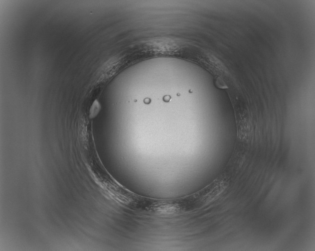 X0000052610456200507011232