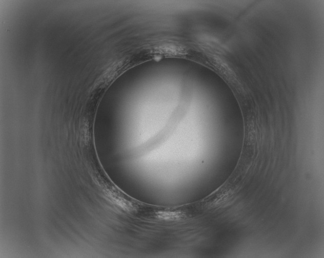 X0000052610457200507011232