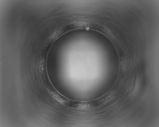 X0000052610458200507011232