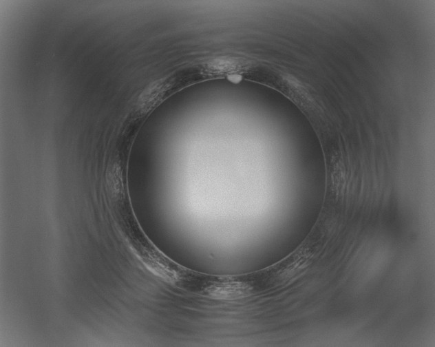 X0000052610459200507011232