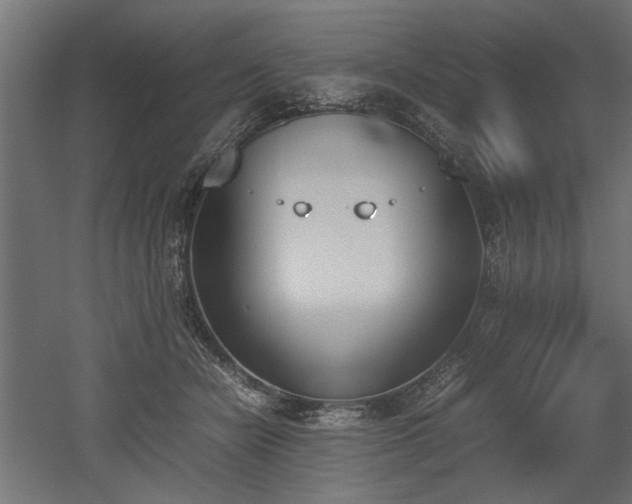 X0000052610462200507011232