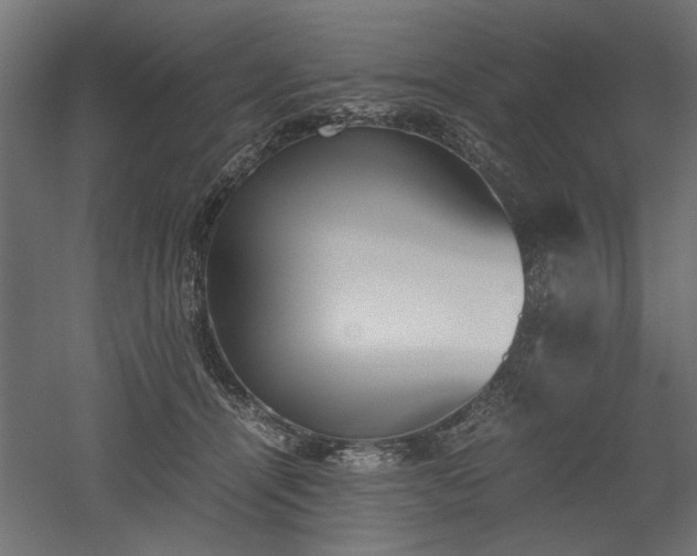 X0000052610464200507011232