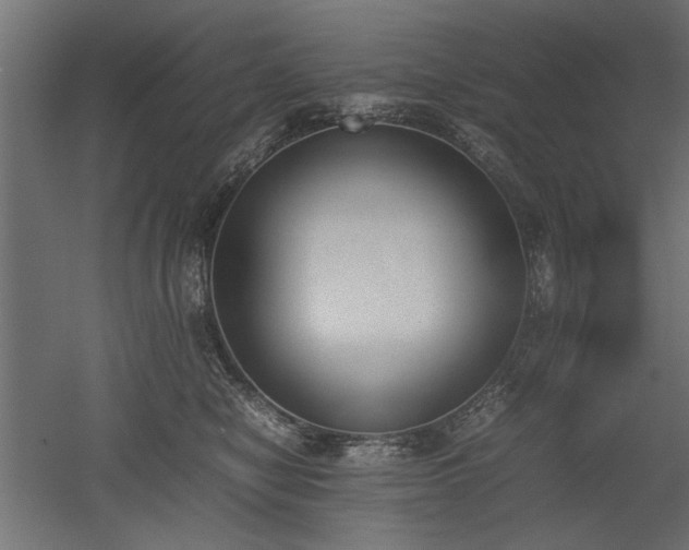 X0000052610470200507011232