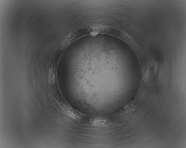 X0000052610471200507011232