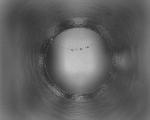 X0000052610472200507011232