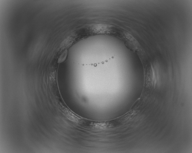 X0000052610473200507011232