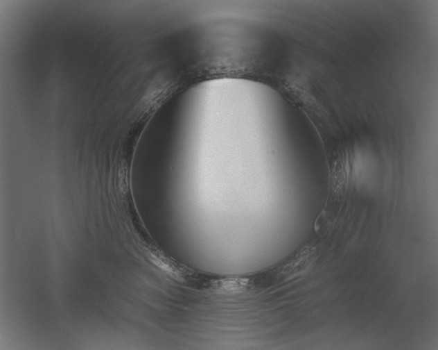 X0000052610474200507011232