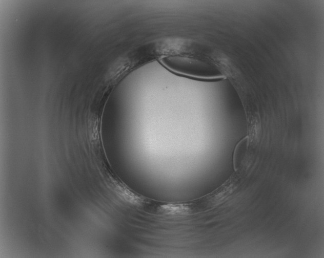 X0000052610477200507011232