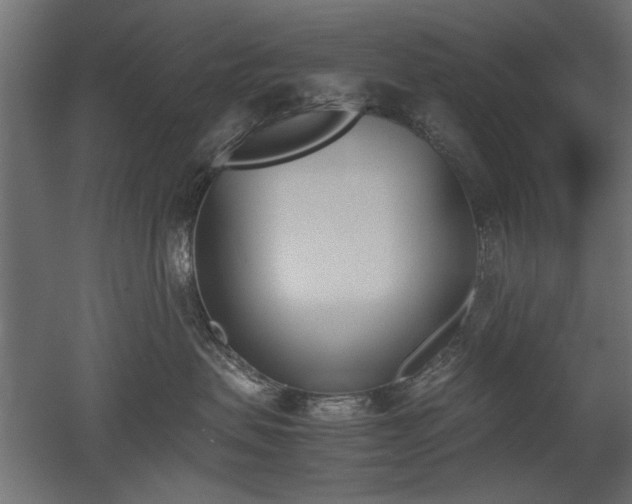 X0000052610479200507011232