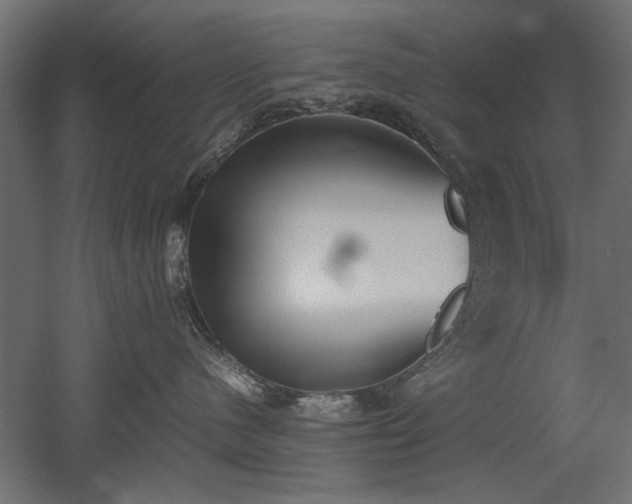 X0000052610480200507011232