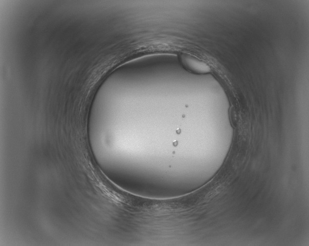 X0000052610481200507011231